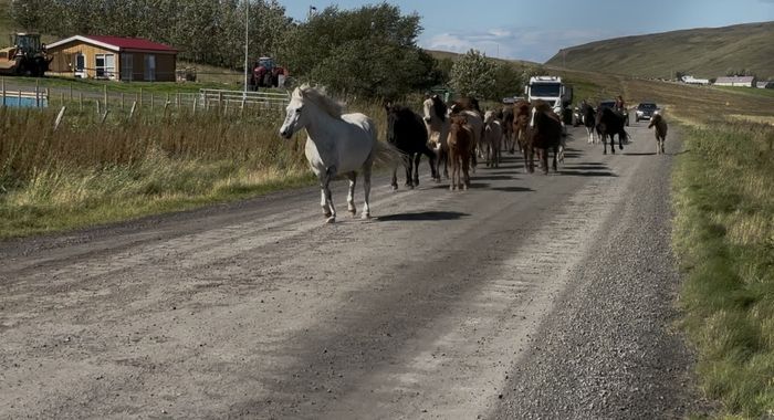 img 0953