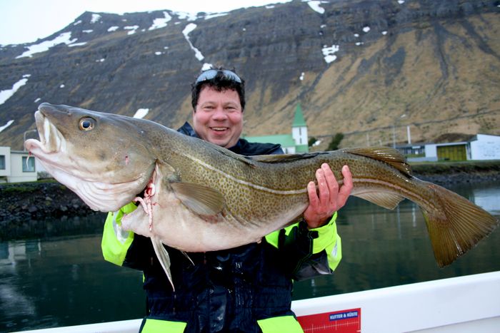 Gunter 16,5 kg Thorsk in Sudureyri Iceland photo no 2