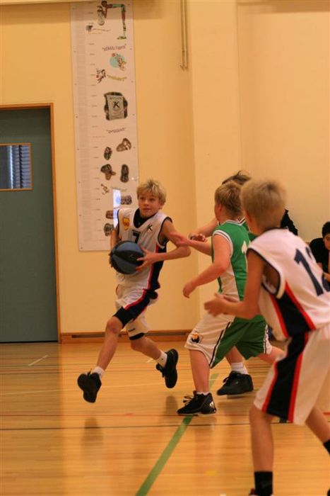 IMG 4873 (Large)