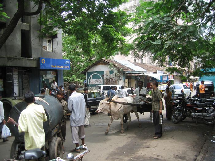 Kaos a gotum Mumbai