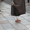 IMG 9534