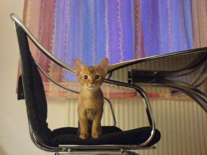 Ahhhh... so cute!!