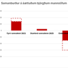 Boluefnibjörgudlif