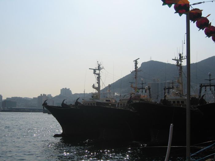 Skip i Pusan