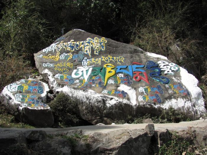 Dharamsala 077