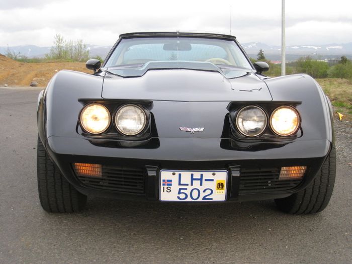 Corvette 1979 005