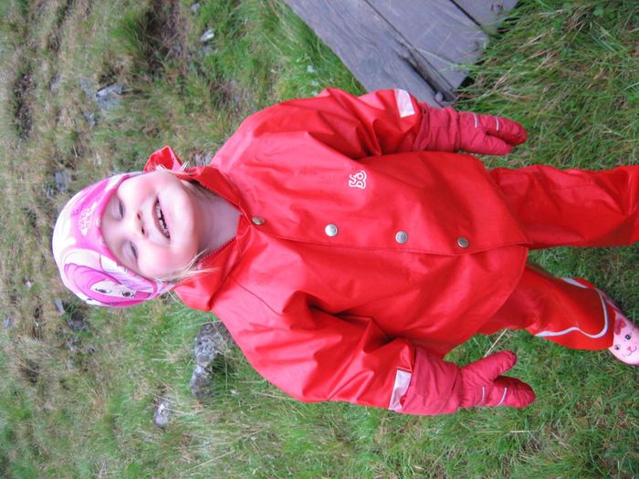 img 1277.jpg