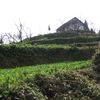 sapa 024
