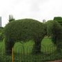 I Hanging gardens