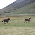 img 8867 1444007