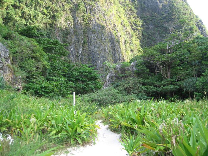 Phi Phi Leh