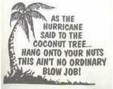 th hurricanecoconuts