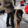 IMG 7198