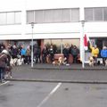 IMG 7786