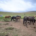 img 0598