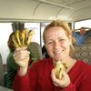 Linda og barbí bananarnir