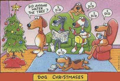 dogxmas