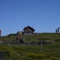 Árnastofa