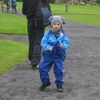 Áfram nú! nú skulum við drýfa okkur í Húsdýragarðinn.