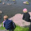 Viljar og Atli virða fuglana fyrir sér