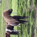 img 0608 1455511