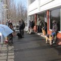 IMG 7522