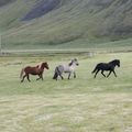 img 8860