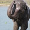 Chitwan National Park 040