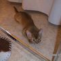 resting flat