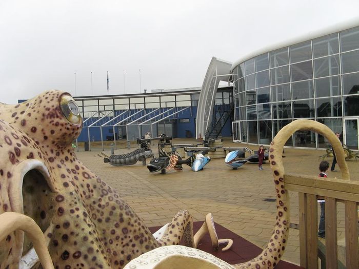 Kattegat museum