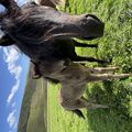 img 0344