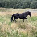img 0896