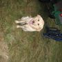 img 1260.jpg