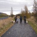 IMG 9213