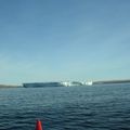 ísjaki á Miðfirði
