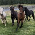img 0917