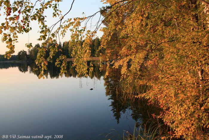 Haust vi Saimaa vatni 2008 (16)