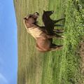 img 0172 1454616