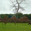 180px-villaggio guinea-bissau.jpg