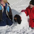 IMG 7515