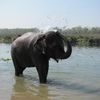 Chitwan National Park 049