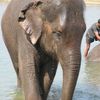 Chitwan National Park 041