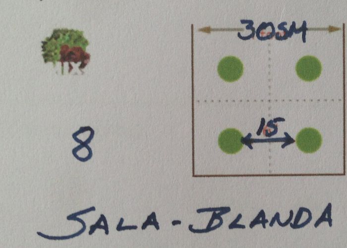 Salat, blanda