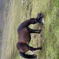 img 0213 1454638