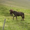 img 0048