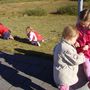 Að tína hundasúrur...held ég ;)