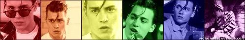 banner.jpg