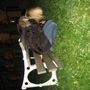 img 1103.jpg