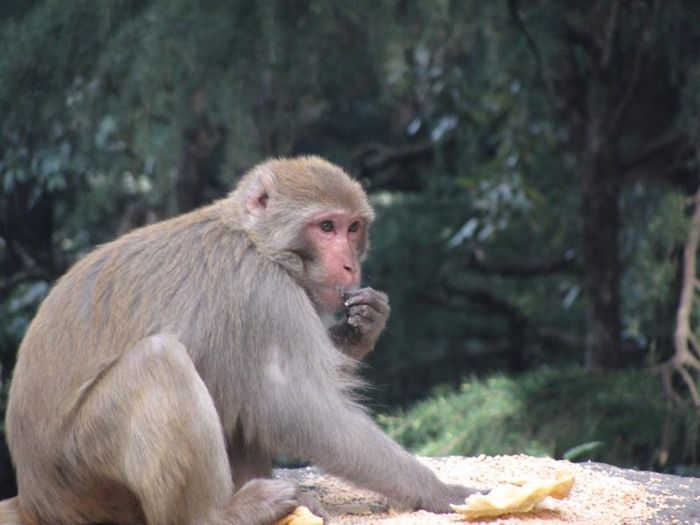 India 005