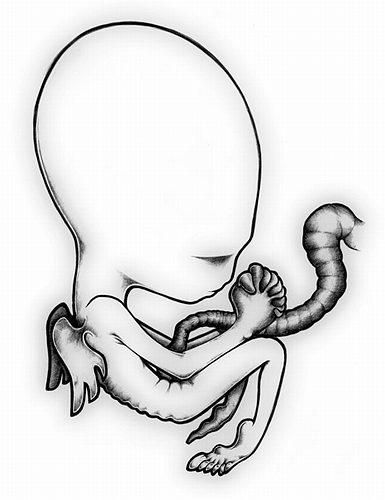 Sigur Rs